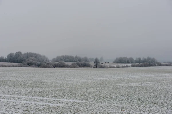 Campo Texturizado Vacío Campo Invierno Bajo Nieve Cielo Blanco —  Fotos de Stock