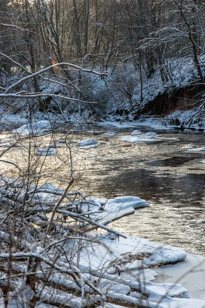 Gefrorene Äste Winter Mit Verschwommenem Hintergrund — Stockfoto