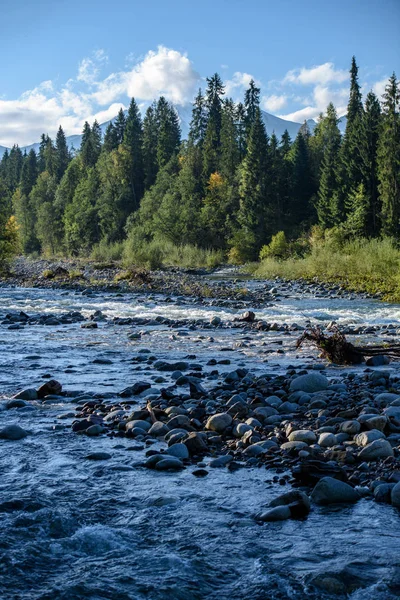 Rápido Río Rocoso Montaña Bosque Con Cascada Otoño —  Fotos de Stock