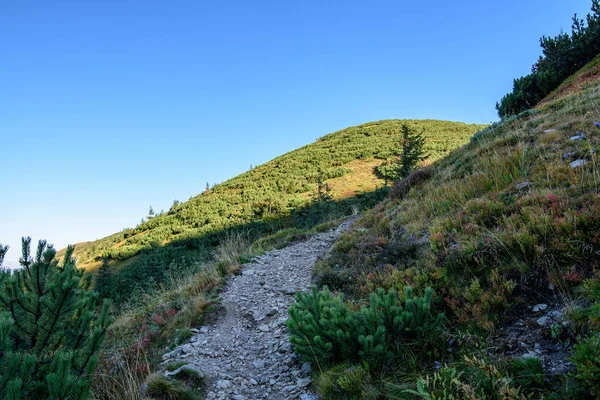 Tatra Rosky Βουνοκορφές Τουριστικά Μονοπάτια Πεζοπορίας Στην Ηλιόλουστη Καλοκαιρινή Μέρα — Φωτογραφία Αρχείου