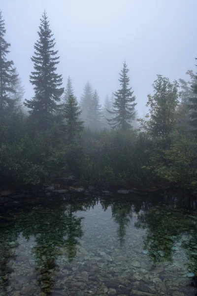 Sisli Puslu Gün Yağmur Kayalık Ayak Izi Hiking Turist Slovakya — Stok fotoğraf