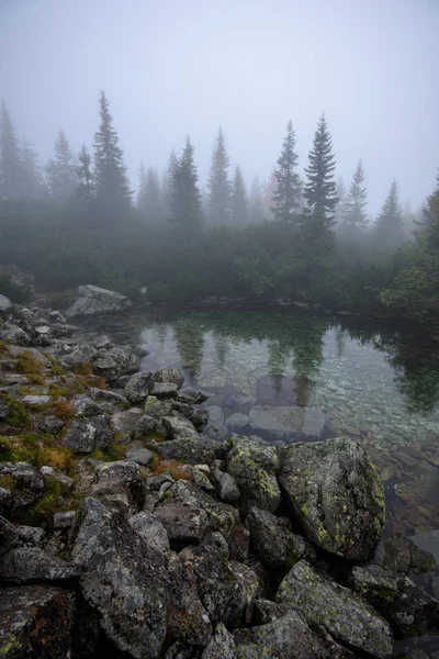 Sisli Puslu Gün Yağmur Kayalık Ayak Izi Hiking Turist Slovakya — Stok fotoğraf