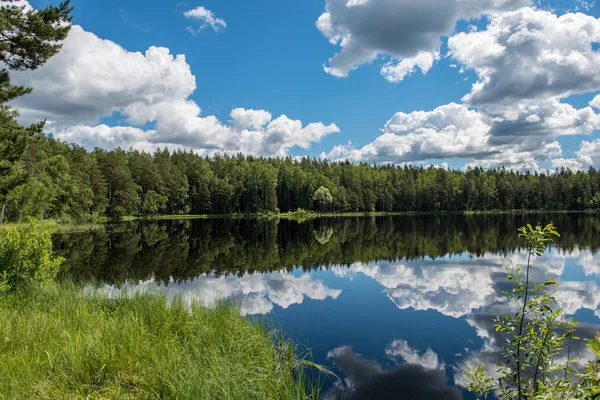 Calm Lake Ljusa Solljus Med Reflektioner Moln Och Träd Och — Stockfoto