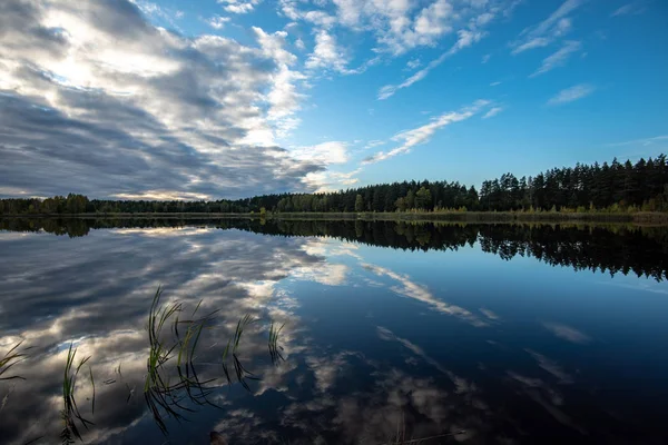 Rustig Lake Felle Zonlicht Met Reflecties Van Wolken Bomen Blauwe — Stockfoto