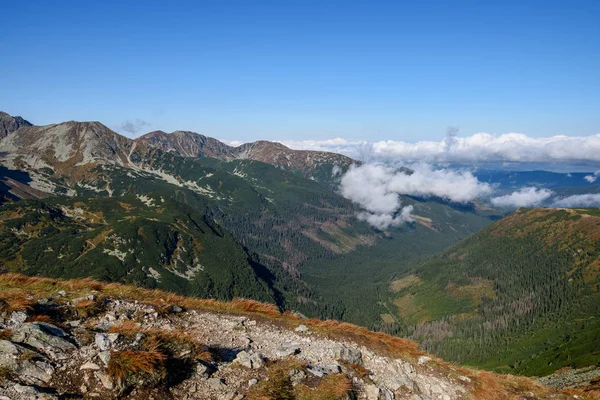 Tatra Rosigen Berggipfeln Mit Touristischen Wanderwegen Sonnigen Sommertagen Slowakei — Stockfoto