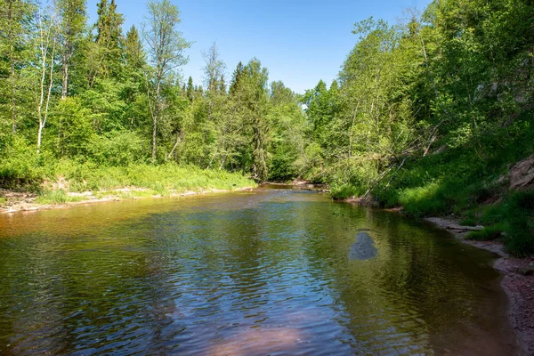 Схід Сонця Над Річкою Лісу Лісі Рано Світло Річці Amata — стокове фото