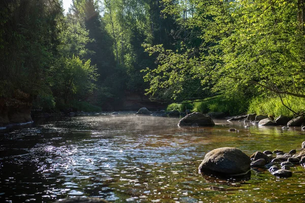 Soluppgång Över Floden Skog Skogen Tidigt Ljus Floden Amata Lettland — Stockfoto