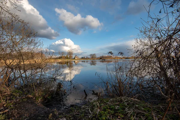 Lago Calmo Luce Solare Brillante Con Riflessi Nuvole Alberi Cielo — Foto Stock