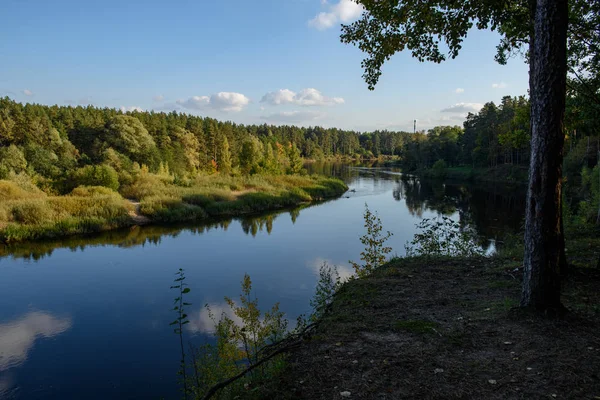 Spokojne Jezioro Jasnym Świetle Słońca Refleksje Chmury Drzewa Błękitne Niebo — Zdjęcie stockowe