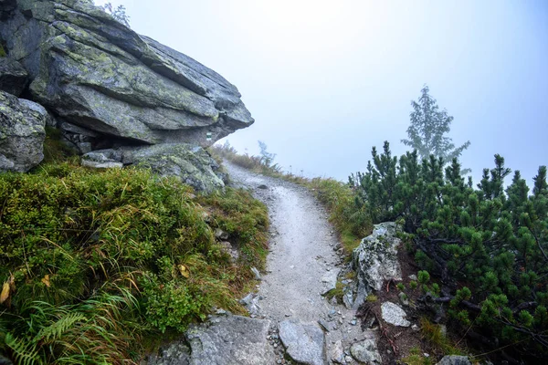 Turist Vandringsled Dimmigt Dimmiga Dagen Med Regn Och Steniga Fotspår — Stockfoto