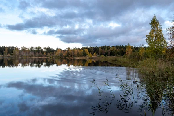 Danau Tenang Cahaya Matahari Cerah Dengan Refleksi Awan Dan Pohon — Stok Foto