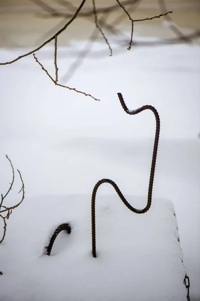 Fruset Gräs Bents Vintertid Ovan Snö Mönstrad Konsistens — Stockfoto