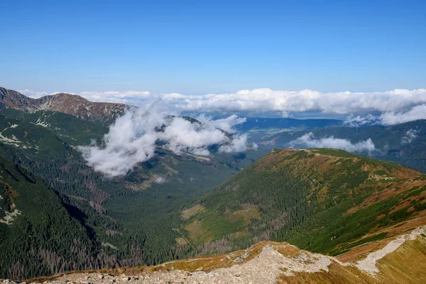 Tatra Rosigen Berggipfeln Mit Touristischen Wanderwegen Sonnigen Sommertagen Slowakei — Stockfoto