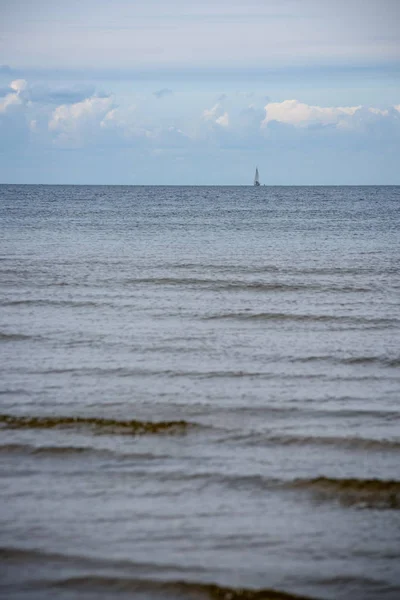 Стадо Птиц Отдыхающих Воды Пляже Моря Летом — стоковое фото