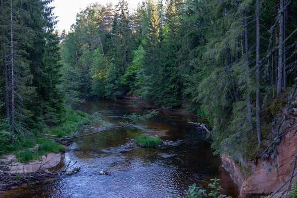 Схід Сонця Над Річкою Лісу Лісі Рано Світло Річці Amata — стокове фото