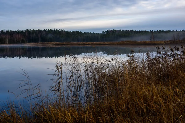 Lac Calme Sous Soleil Éclatant Avec Des Reflets Nuages Arbres — Photo