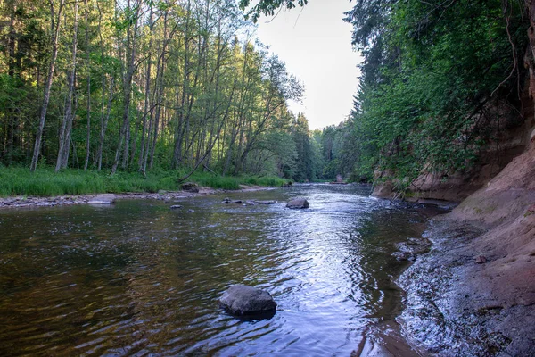 Схід Сонця Над Річкою Лісу Лісі Рано Світло Річці Amata — стокове фото