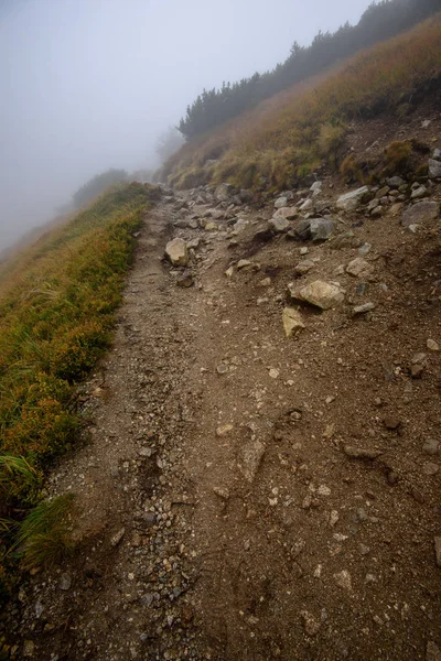 Sisli Puslu Gün Yağmur Kayalık Ayak Izi Hiking Turist Slovakya — Stok fotoğraf