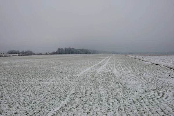 雪の白い空の下で冬の田舎の空のテクスチャ フィールド — ストック写真