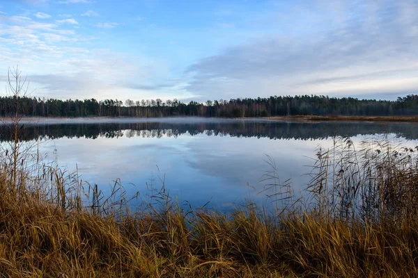 Calm Lake Ljusa Solljus Med Reflektioner Moln Och Träd Och — Stockfoto