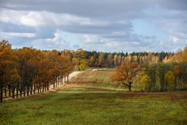 Empty Countryside Fields Late Autumn Overcast Day — Stock Photo, Image