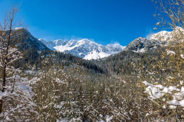 Slovakya Tatra Dağları kışın. tepeler ve s kaplı ağaçlar