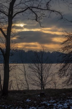 Letonca kırsal çalıların renkli bahar