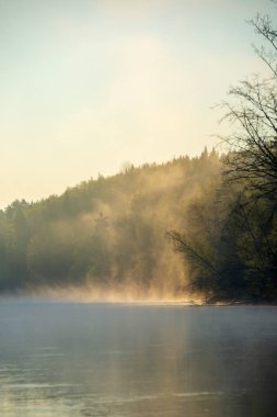 doğal orman nehir Lat Gauja güzel sisli sabahı