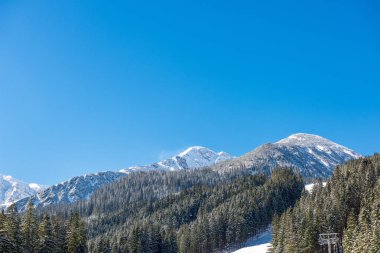 Slovakya Tatra Dağları kışın. tepeler ve s kaplı ağaçlar