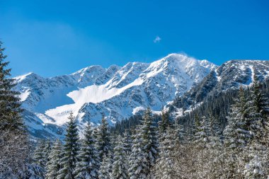 Slovakya Tatra Dağları kışın. tepeler ve s kaplı ağaçlar