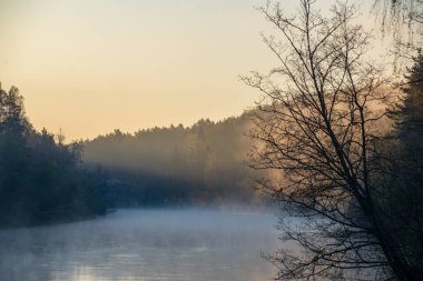 doğal orman nehir Lat Gauja güzel sisli sabahı