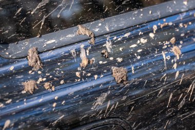 çok kirli offroad araba içinde çamur