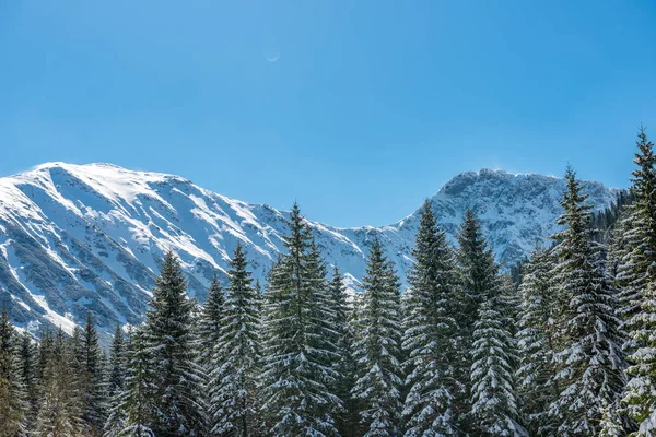 Slovakya Tatra Dağları kışın. tepeler ve s kaplı ağaçlar — Stok fotoğraf