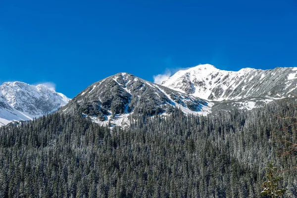 Slovakya Tatra Dağları kışın. tepeler ve s kaplı ağaçlar — Stok fotoğraf