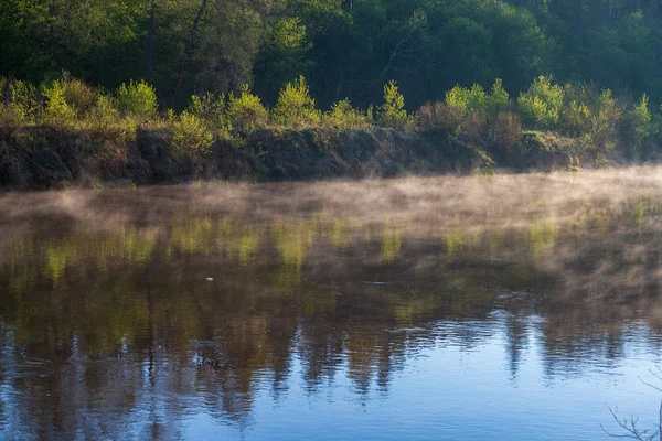 Hermosa mañana brumosa en el bosque natural del río Gauja en Lat — Foto de Stock