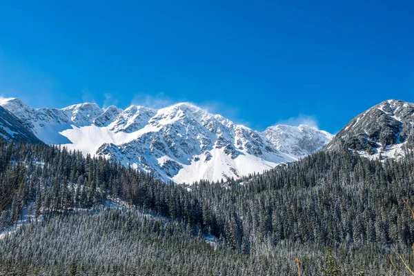 Zima w Tatrach Słowacja. szczyty i drzewa pokryte s — Zdjęcie stockowe