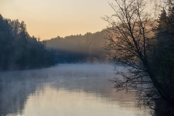 Vackra Dimmig morgon på naturskog floden Gauja i Lat — Stockfoto