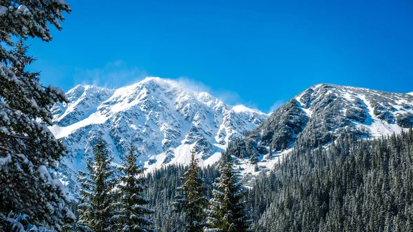 Slovakya Tatra Dağları kışın. tepeler ve s kaplı ağaçlar — Stok fotoğraf