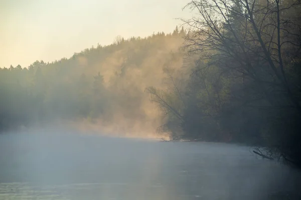 Beautiful misty morning on the natural forest river Gauja in Lat — Stock Photo, Image