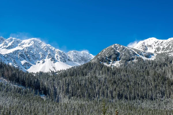 Winter in der slowakischen Tatra. Gipfel und Bäume bedeckt mit s — Stockfoto