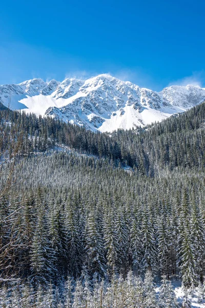 Winter in Slovakia Tatra mountains. peaks and trees covered in s — Stock Photo, Image