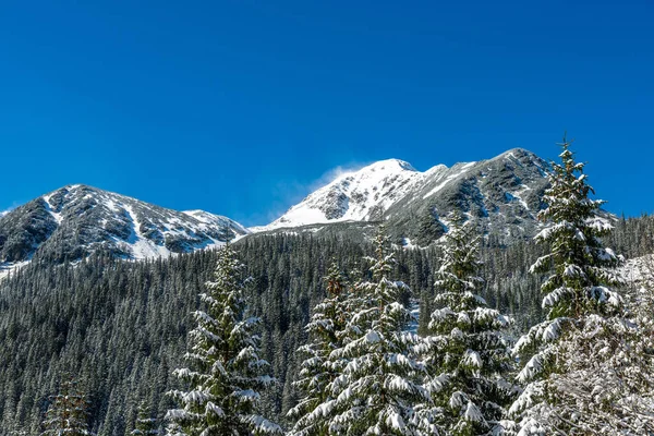 Winter in der slowakischen Tatra. Gipfel und Bäume bedeckt mit s — Stockfoto