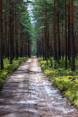 boş çakıl yol Güz