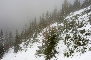 turistik rotalar Slovakya tatra Dağları'nda kar kaplı