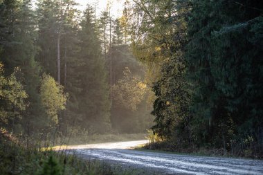 boş çakıl yol Güz