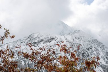 turistik rotalar Slovakya tatra Dağları'nda kar kaplı