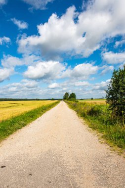 boş çakıl yol Güz