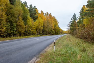Sonbaharda boş asfalt yolu