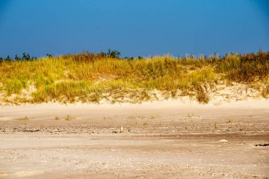 Sakin deniz plaj yaz büyük kayalar ve ahşap direklerin 