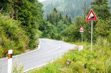Sonbaharda boş asfalt yolu